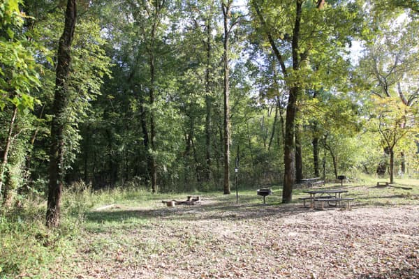 Two campsites along a woodland edge. - NPS Photo / Wil Marischen