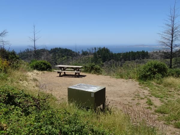 A campsite containing a picnic table and a food storage locker overlooking trees and the ocean. - NPS Photo