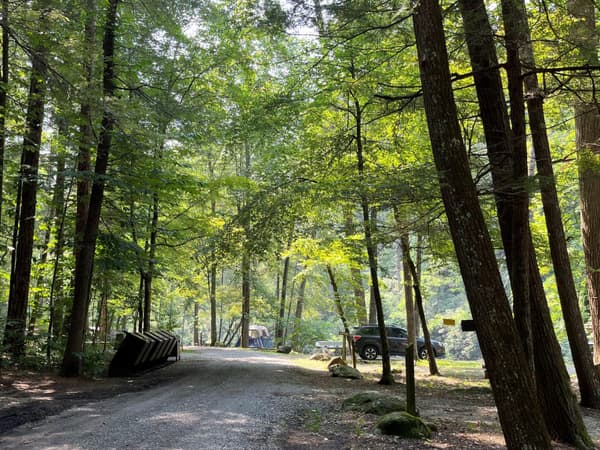 Multiple bear-proof trash cans along a gravel road near campsites under a canopy of trees. - NPS Photo