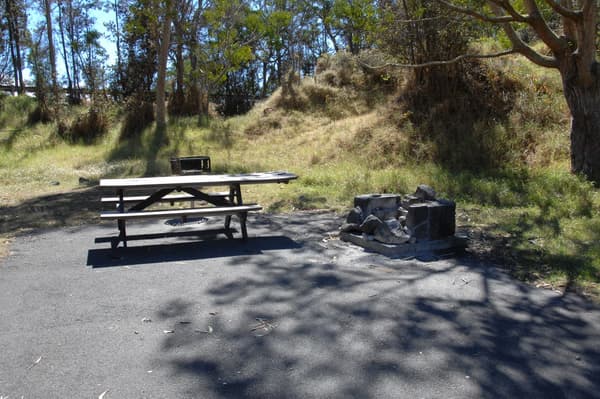 Campsite with picnic table and firepit - NPS/S. Geiger