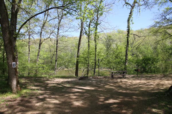 A campground with dirt and grass. Trees hang overhead. - NPS Photo / Wil Marischen
