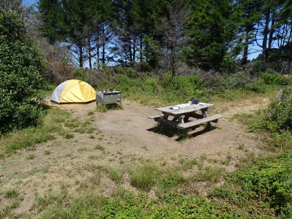 A campsite containing a small gray and yellow tent, a picnic table, and a food storage locker. - NPS Photo
