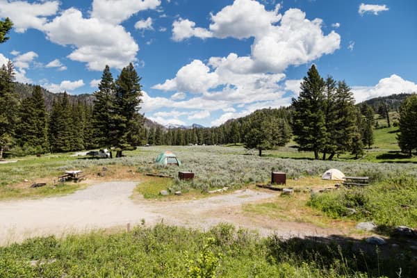 Campsites in the Slough Creek Campground - NPS / Jacob W. Frank
