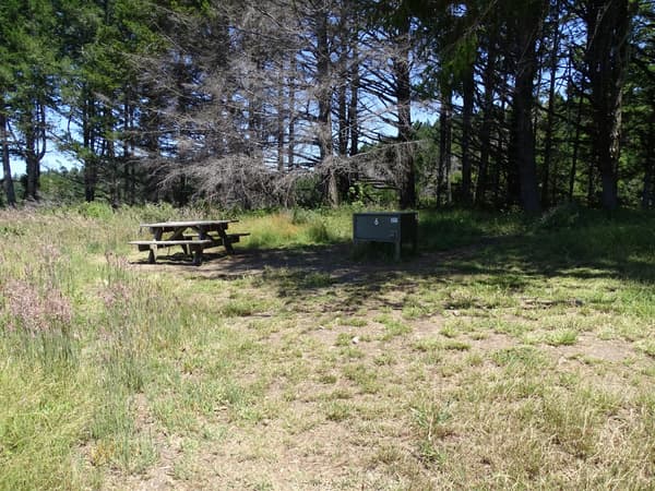 A partially tree-shaded campsite containing a picnic table and a food storage locker. - NPS Photo