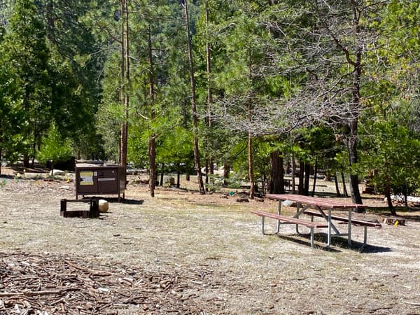 A campsite features a picnic table, fire grate, and food storage container. - NPS Photo