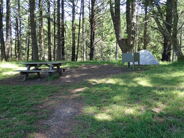A tree-shaded campsite containing a small gray tent, a picnic table, and a food storage locker. - NPS Photo