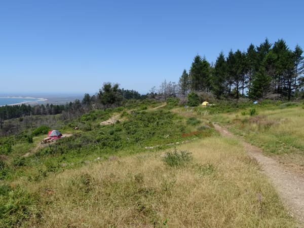 A trail leads through grass and shrubs towards a few campsites with a view of the ocean on the left. - NPS Photo