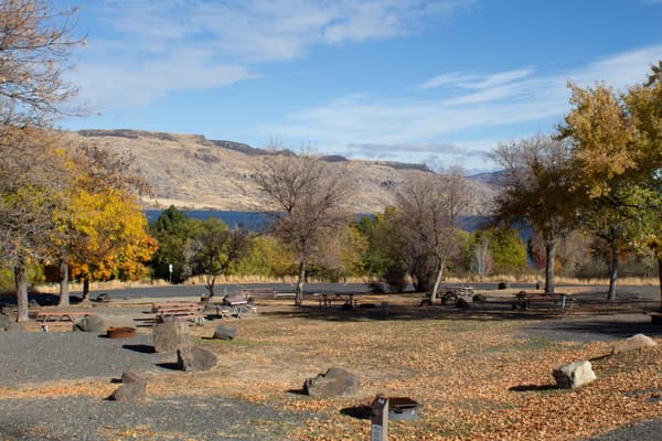 Scattered campsites are surrounded by fallen golden leaves. - NPS / S. Peterson