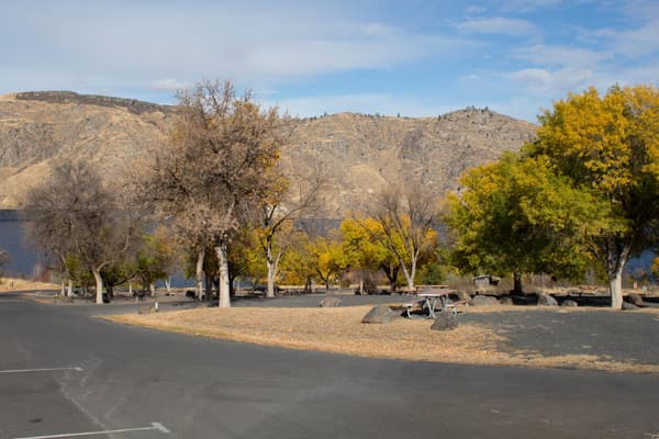 Multiple campsites along grey asphalt roads and surrounded by green and yellow leaved trees. - NPS / S. Peterson