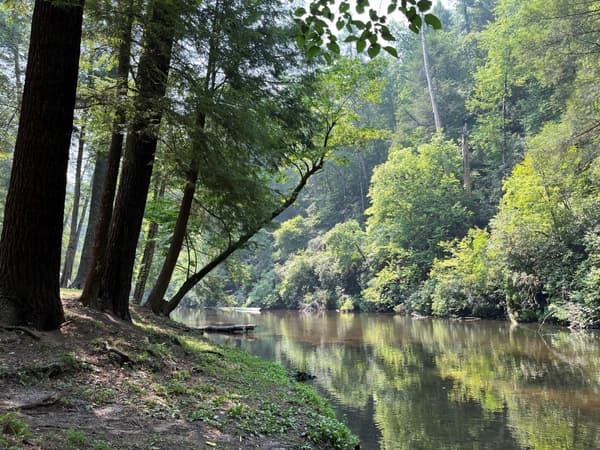 Softly rippling water reflecting surrounding trees. A creek view from a bank in the campground. - NPS Photo