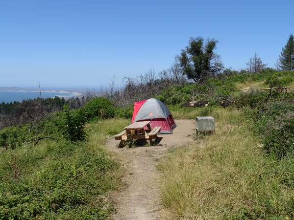 A campsite containing a small gray and maroon tent, a picnic table, and a food storage locker. - NPS Photo