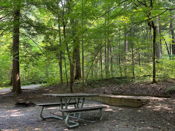 A forested campsite with a tent pad, picnic table, and grill. A nearby tent pad is visible. - NPS Photo