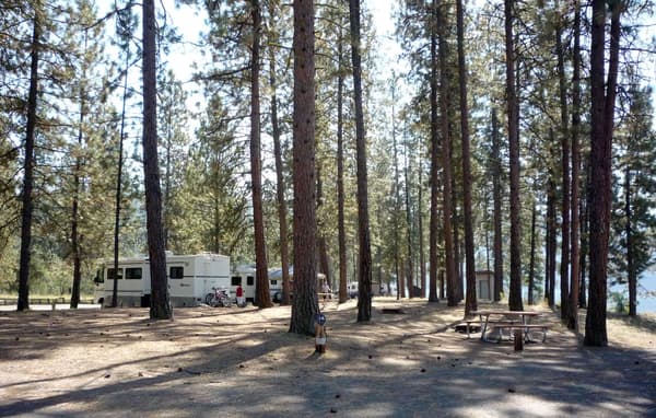 campsites tucked among towering pine trees with shade - NPS Photo