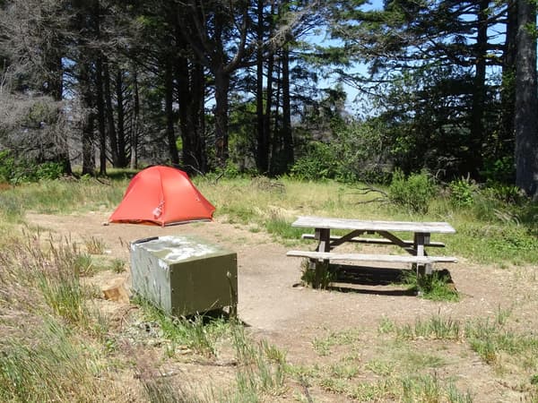 A campsite containing a small orangish-red tent, a picnic table, and a food storage locker. - NPS Photo