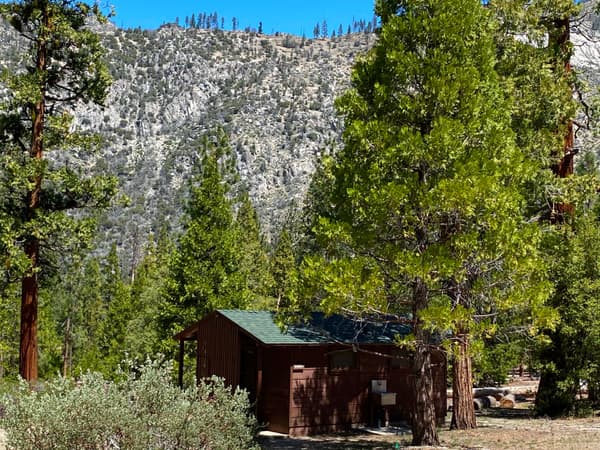 A brown woodsided-restroomwith a green roof is nestled among fir trees. - NPS Photo