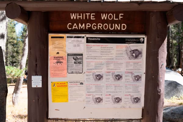 Wooden campground bulletin board with flyers posted - NPS Photo