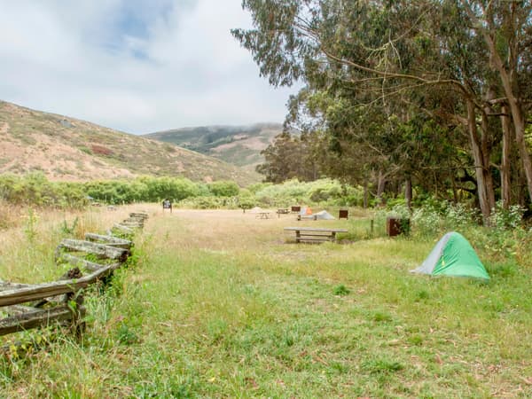 A fence line disappears into the distance next to a green tent below a Eucalyptus stand. - NPS Photo