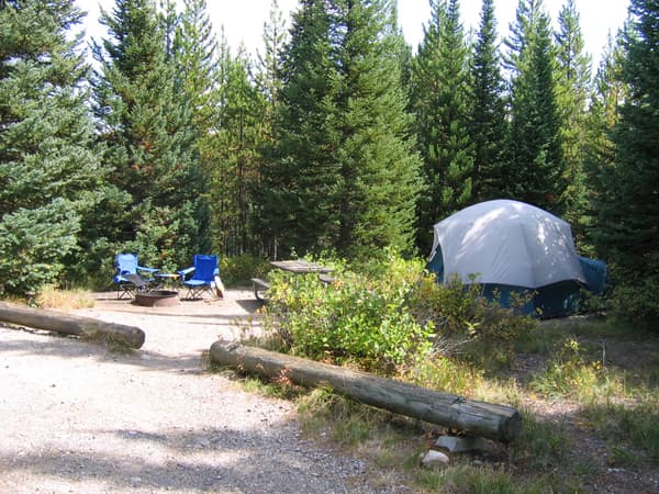 Conifers behind a light gray dome tent and camp chairs - NPS Photo / A. Mattson