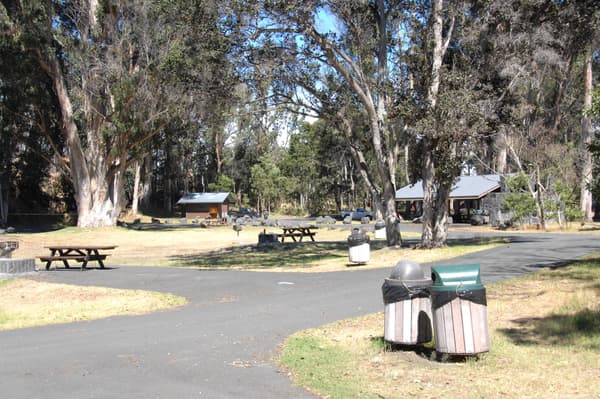 View of Nāmakanipaio Campground - NPS/S. Geiger