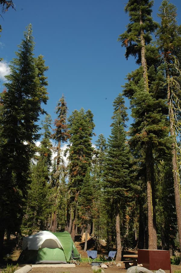A green tent, two blue chairs, and a brown bear box - NPS Photo
