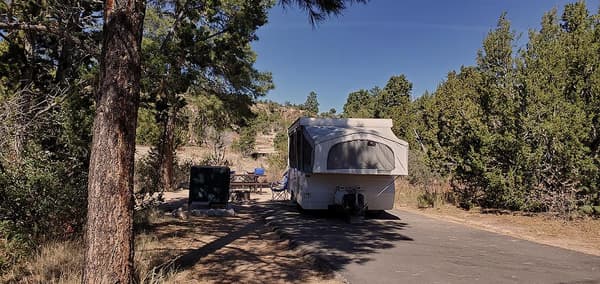 Juniper Campground site with bigger trees - NPS Photo