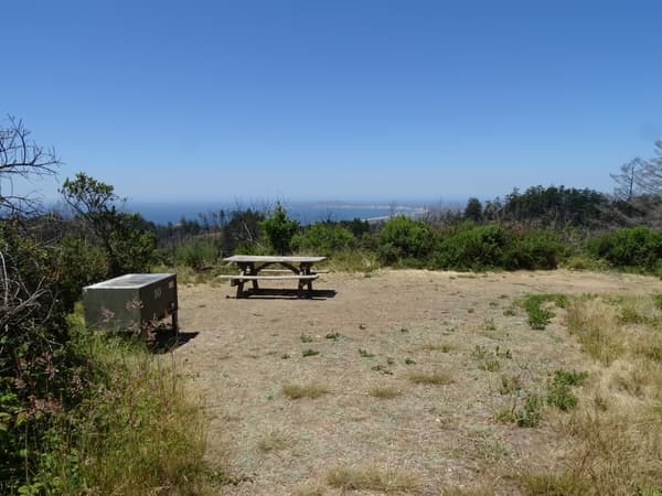 A campsite containing a picnic table and a food storage locker overlooking trees and the ocean. - NPS Photo