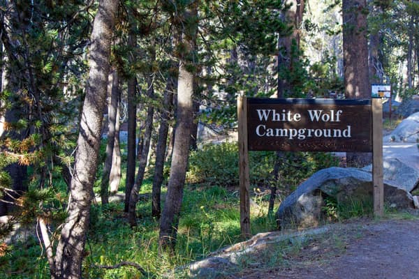 A wood sign on the side of a road reads White Wolf Campground. - NPS Photo