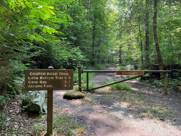 Brown sign that says, "Cooper Road Trail, Little Bottom Trail 0.9, Cane Gap 3.1, Abrams Falls 5.1". - NPS Photo