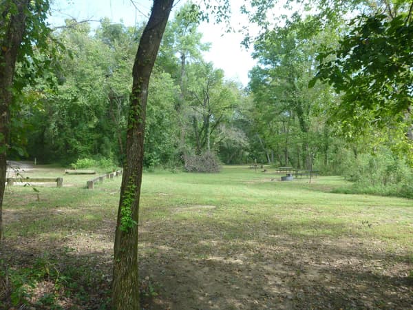Four tent campsites in a row with shade trees surrounding them. - NPS