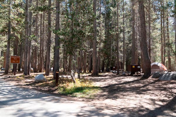 camp host site with sign - NPS Photo