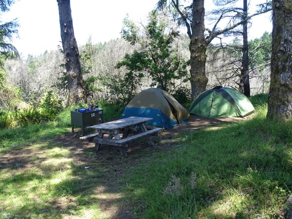 A campsite containing two tents, a picnic table, and a food storage locker surrounded by trees. - NPS Photo