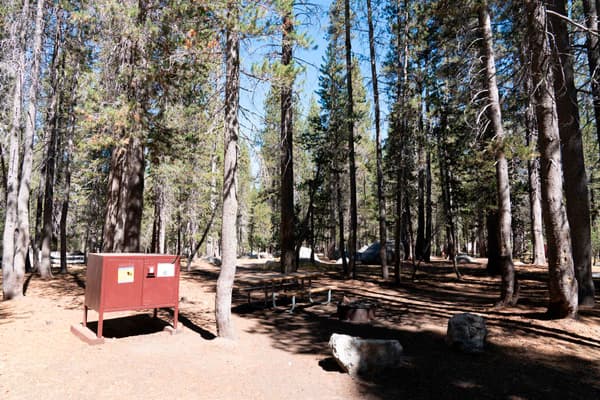 Empty White Wolf Campsite with metal food storage locker - NPS Photo