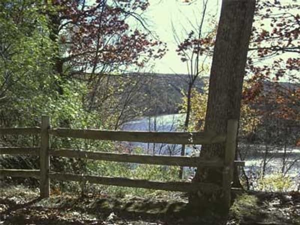 view of the river from campground - NPS Photo