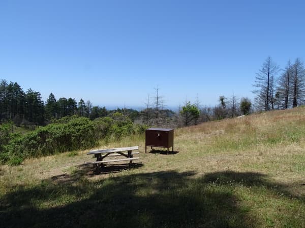 A campsite containing a picnic table and a food storage locker overlooking trees and the ocean. - NPS Photo