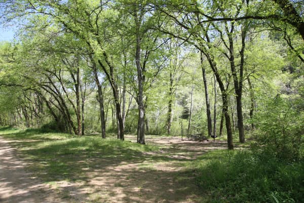 A limited development campsite under dappled shade. - NPS Photo / Wil Marischen