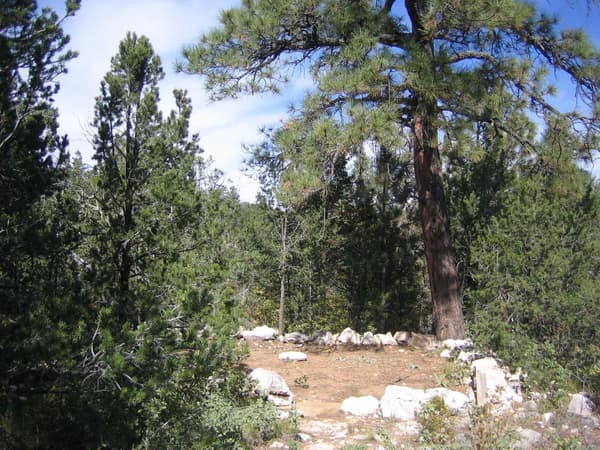 A hardened surface for a tent surrounded by rocks and trees. - NPS/Bieri