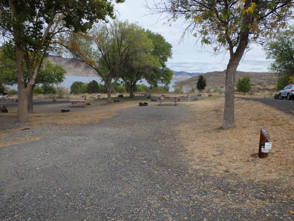 A graveled campsite pad with picnic table and fire ring adjacent. - NPS