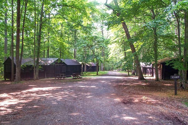 Large brown wooden cabins are dispersed through the woods. A gravel road is between them - NPS Photo