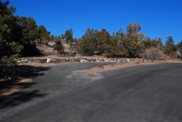 Juniper Campground pull through - NPS Photo/Sally King